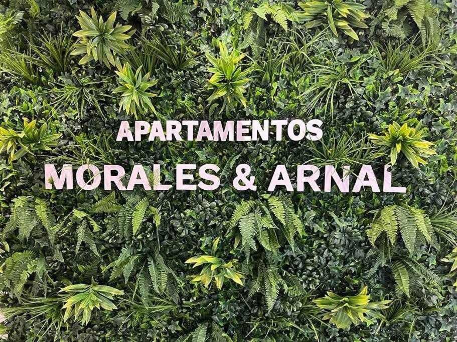 XVIII B Suite Apartamentos Morales & Arnal Ronda Buitenkant foto
